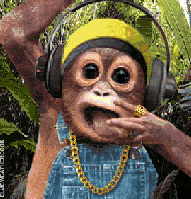 Cute monkey getting down to some wicked tunes
