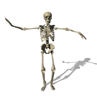 Moving animated dancing skeleton bones