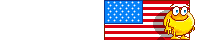 Emoticon with 4th of July flag