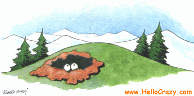 Why would a groundhog be afraid of his shadow animated gif