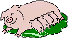 Animated picture of mama pig with piglets