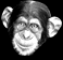 Moving chimp head chewing gif animation