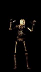 Moving picture skeleton singing animated gif