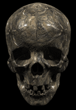 Moving picture skull chewing gif animation