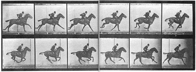 Old animated study of movement of a horse and rider riding by