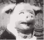 One creepy old black and white pig animation