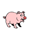 Little pink pig acting like a horse rearing up on it's hind legs