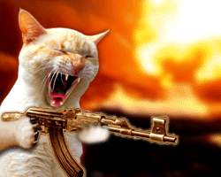 I'll get you you dirty rat! Moving animation of a cat with attitude and a big gun