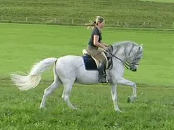 Animated movie clip of woman on a white horse riding on a grass field
