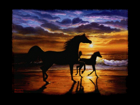 Color changing picture of horses at the beach at sunset displays several different hues of color