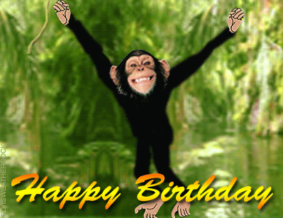 Moving animated chimpanzee swinging from the vines in the trees with a Happy Birthday message for you Birthday ecard message from Elvis Weathercock