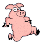 Health conscious pig on it's daily jog to get rid of a little belly fat
