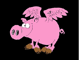 Crazy pink flying pig with a big big nose