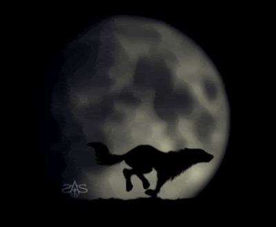 Moving gif animation of a wolf running in front of huge full moon