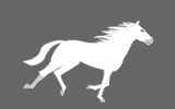 White silhouette of a horse on grey background
